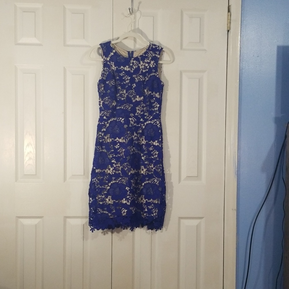 Royal Blue Beauty